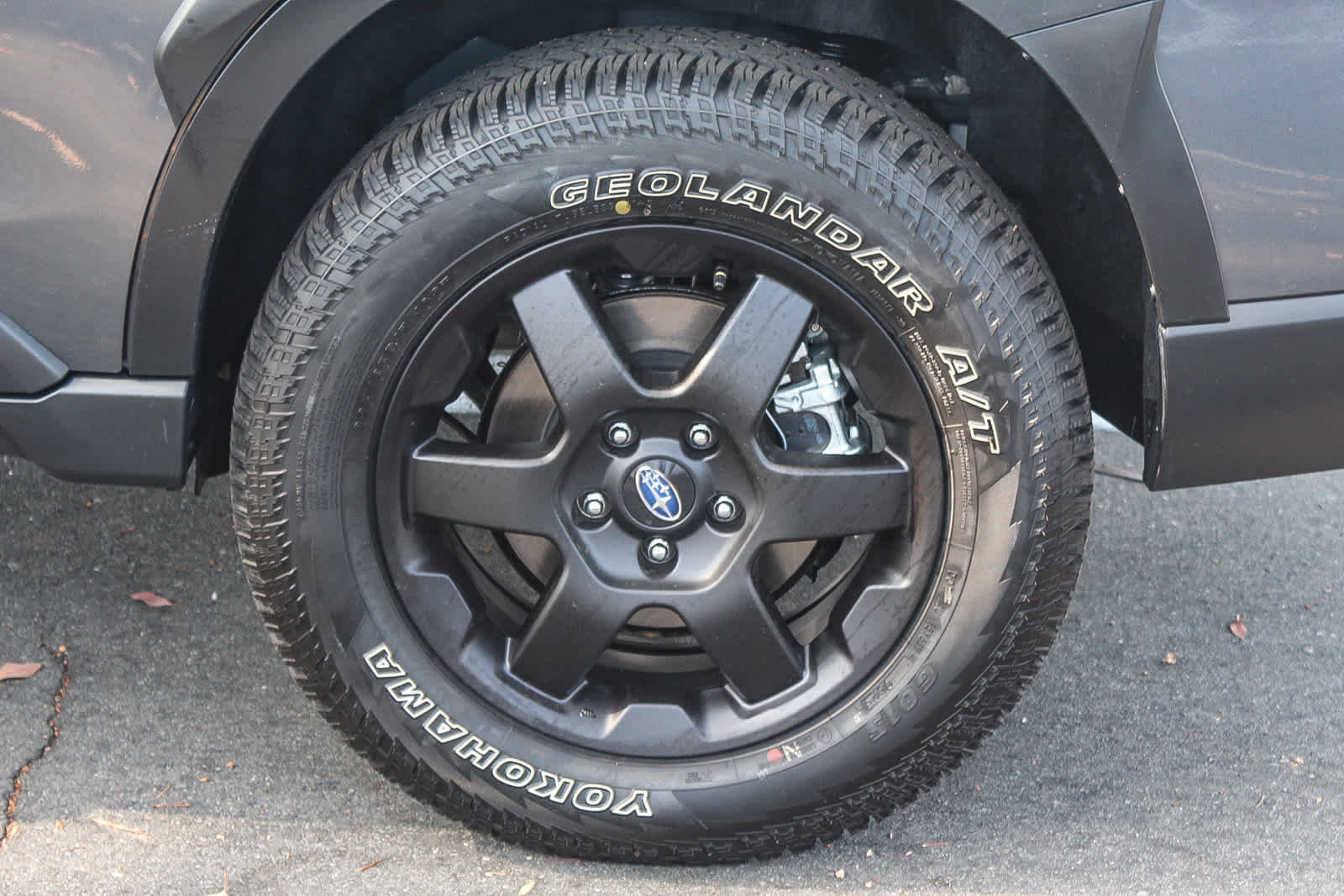 New 2025 Subaru Outback Wilderness image 10