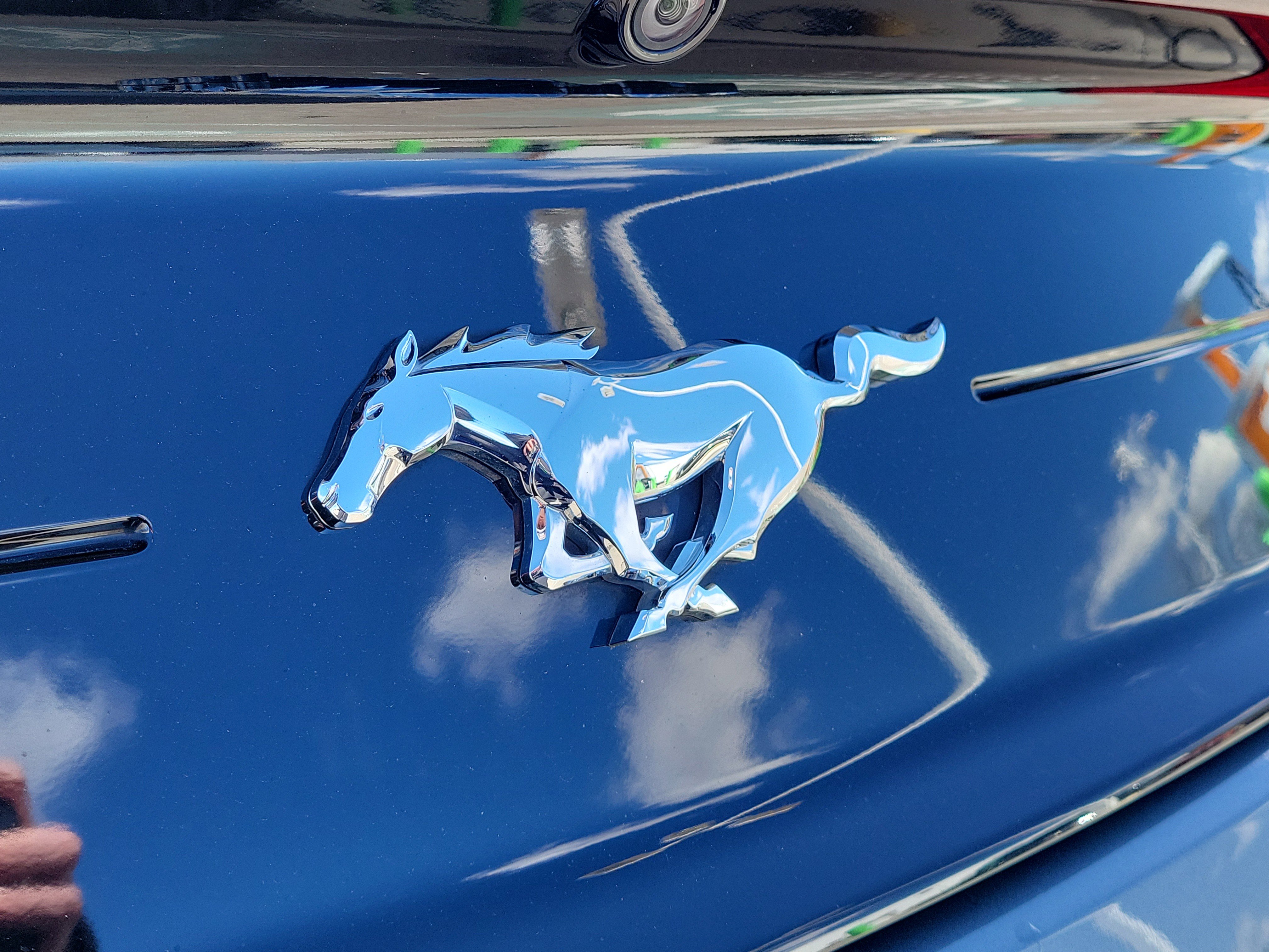 Used 2022 Ford Mustang EcoBoost image 6