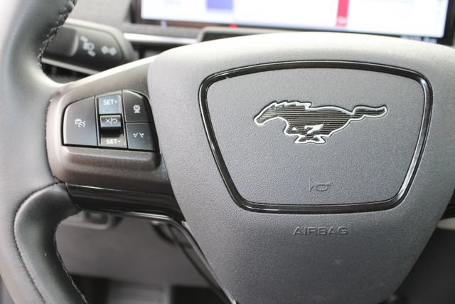 Used 2022 Ford Mustang Mach-E Premium AWD/4WD image 22