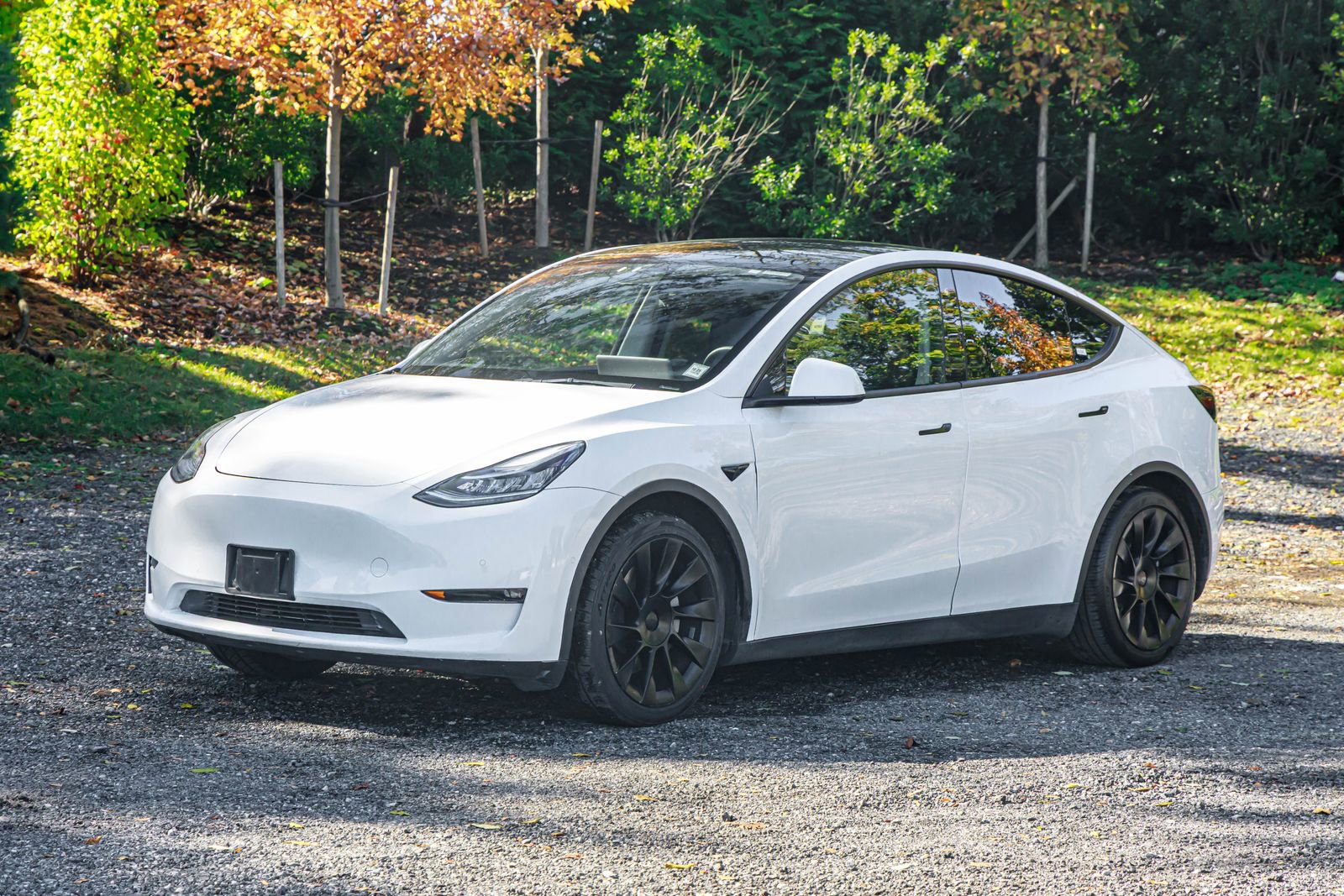 Used 2022 Tesla Model Y Long Range