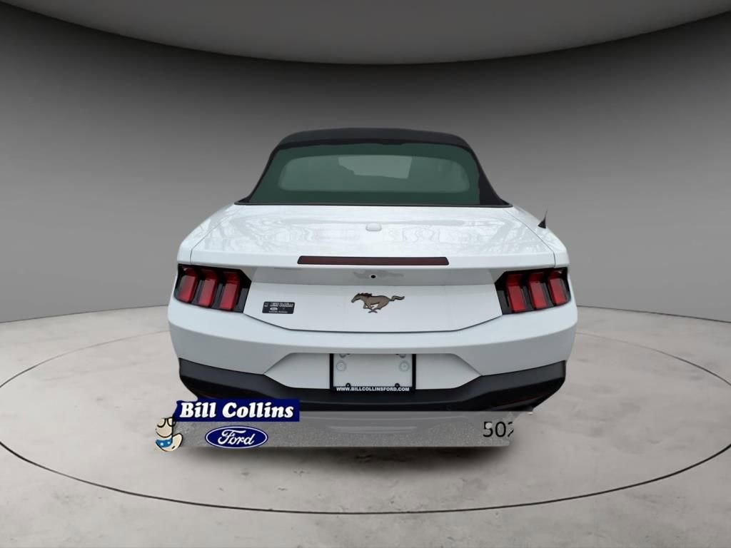 New 2026 Ford Mustang Premium w/ Bronze Appearance Package image 6