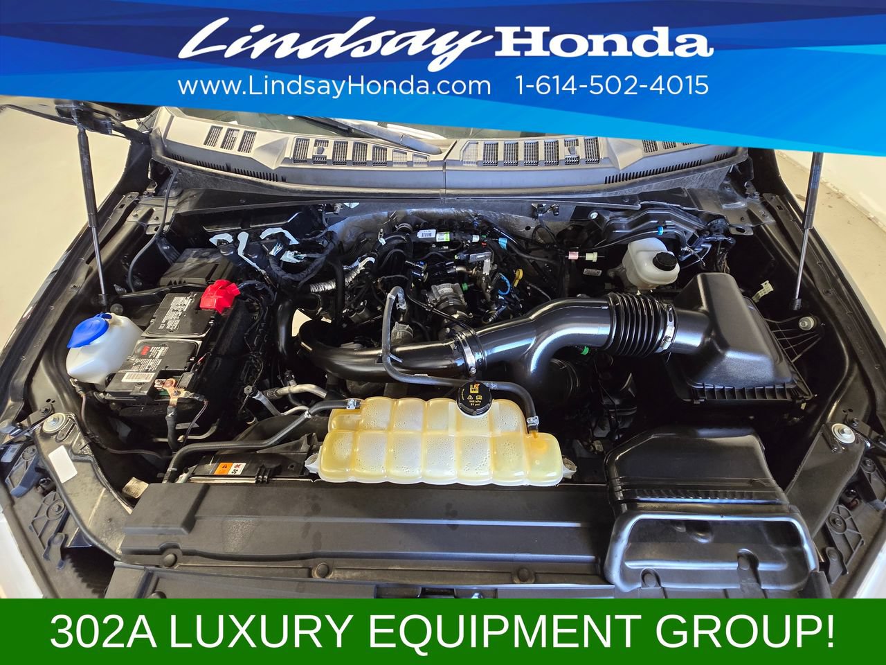 Used 2020 Ford F150 XLT w/ Equipment Group 302A Luxury AWD/4WD image 24