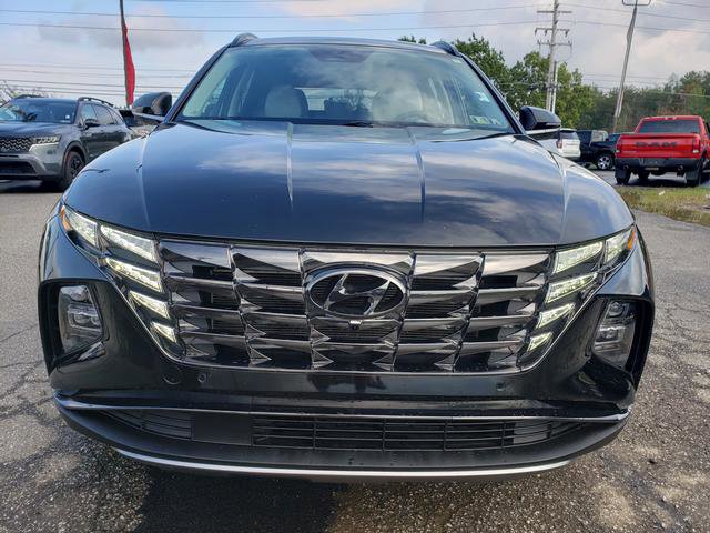 Used 2024 Hyundai Tucson Limited image 2