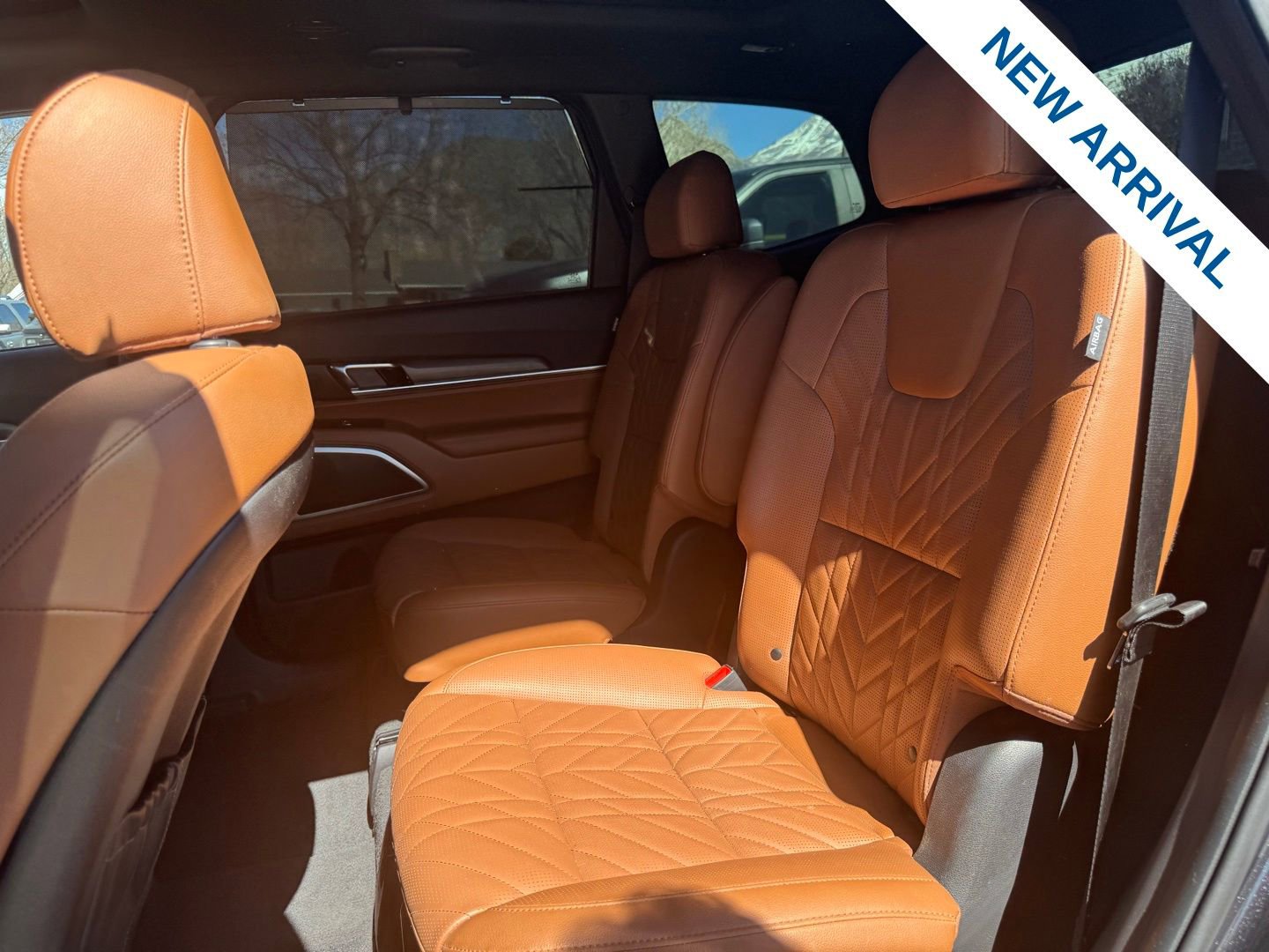 Used 2025 Kia Telluride SX X-Line image 14