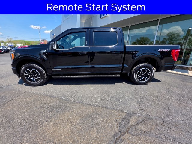 Certified 2023 Ford F150 XLT w/ Equipment Group 302A High AWD/4WD image 4