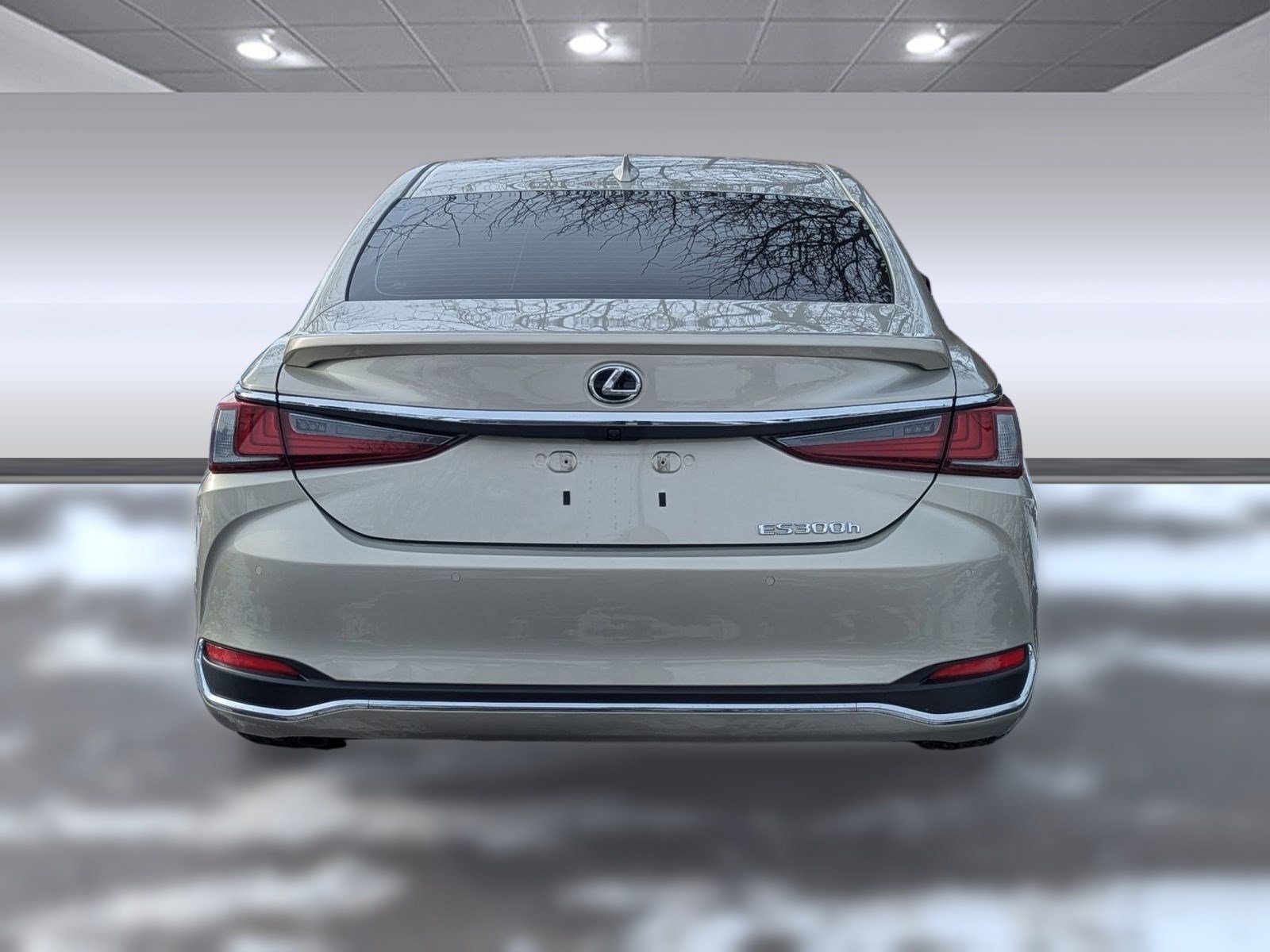 Certified 2025 Lexus ES 300h w/ Luxury Package image 11