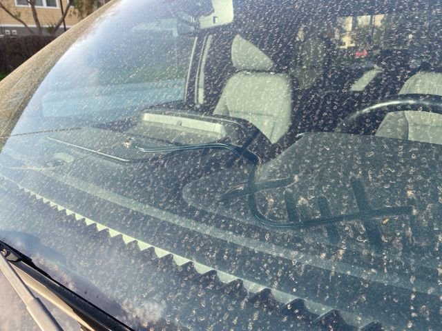 Used 2021 Ford F150 XLT w/ Equipment Group 301A Mid image 10