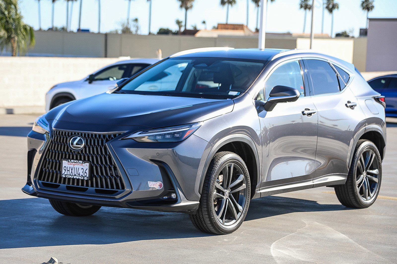 Used 2024 Lexus NX 450h+ AWD w/ Vision Package image 3