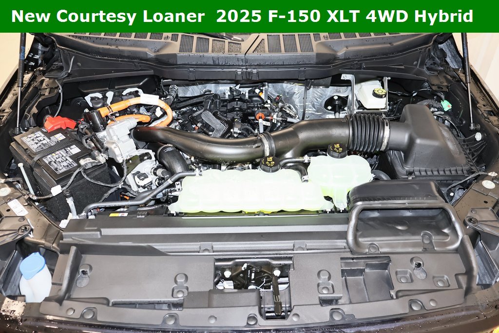 New 2025 Ford F150 XLT w/ Equipment Group 302A MID image 32