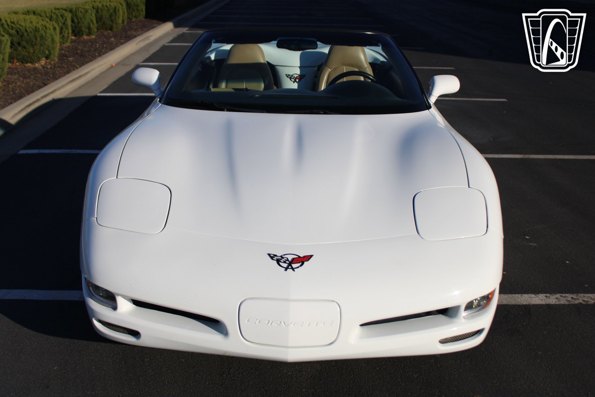 Used 1998 Chevrolet Corvette Convertible image 8