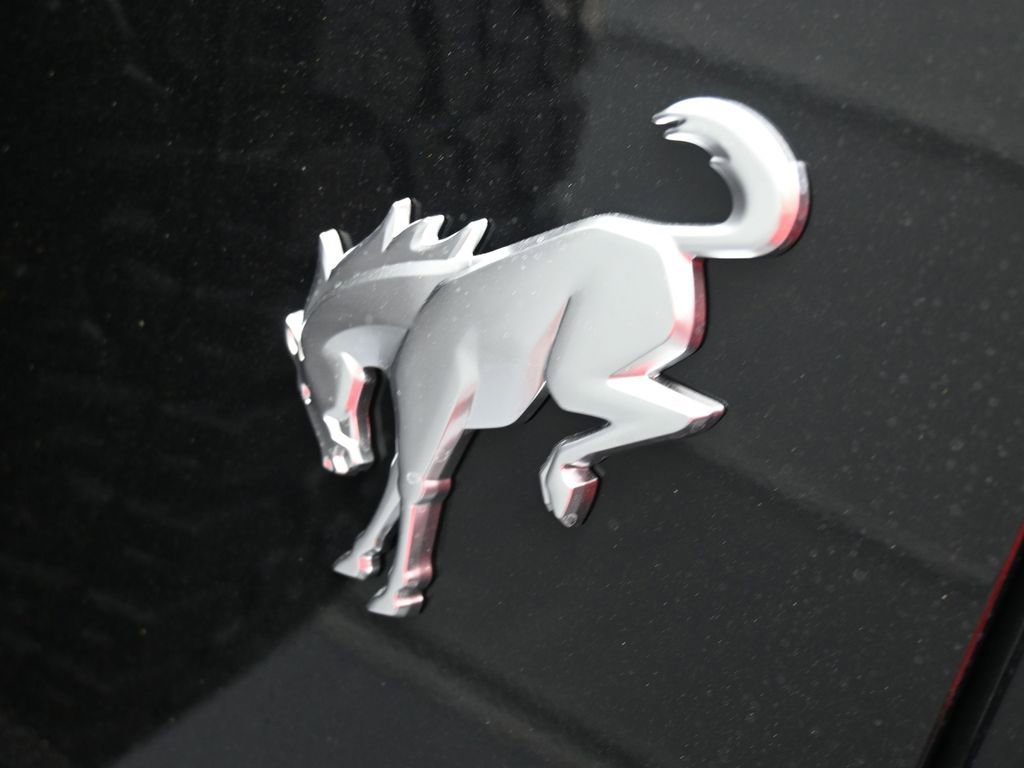 New 2025 Ford Bronco Heritage Edition image 14