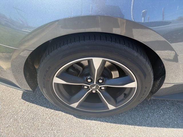 Used 2022 Ford Mustang EcoBoost w/ Equipment Group 101A image 14