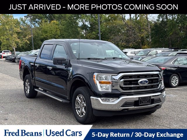 Used 2023 Ford F150 XLT w/ Equipment Group 301A Mid