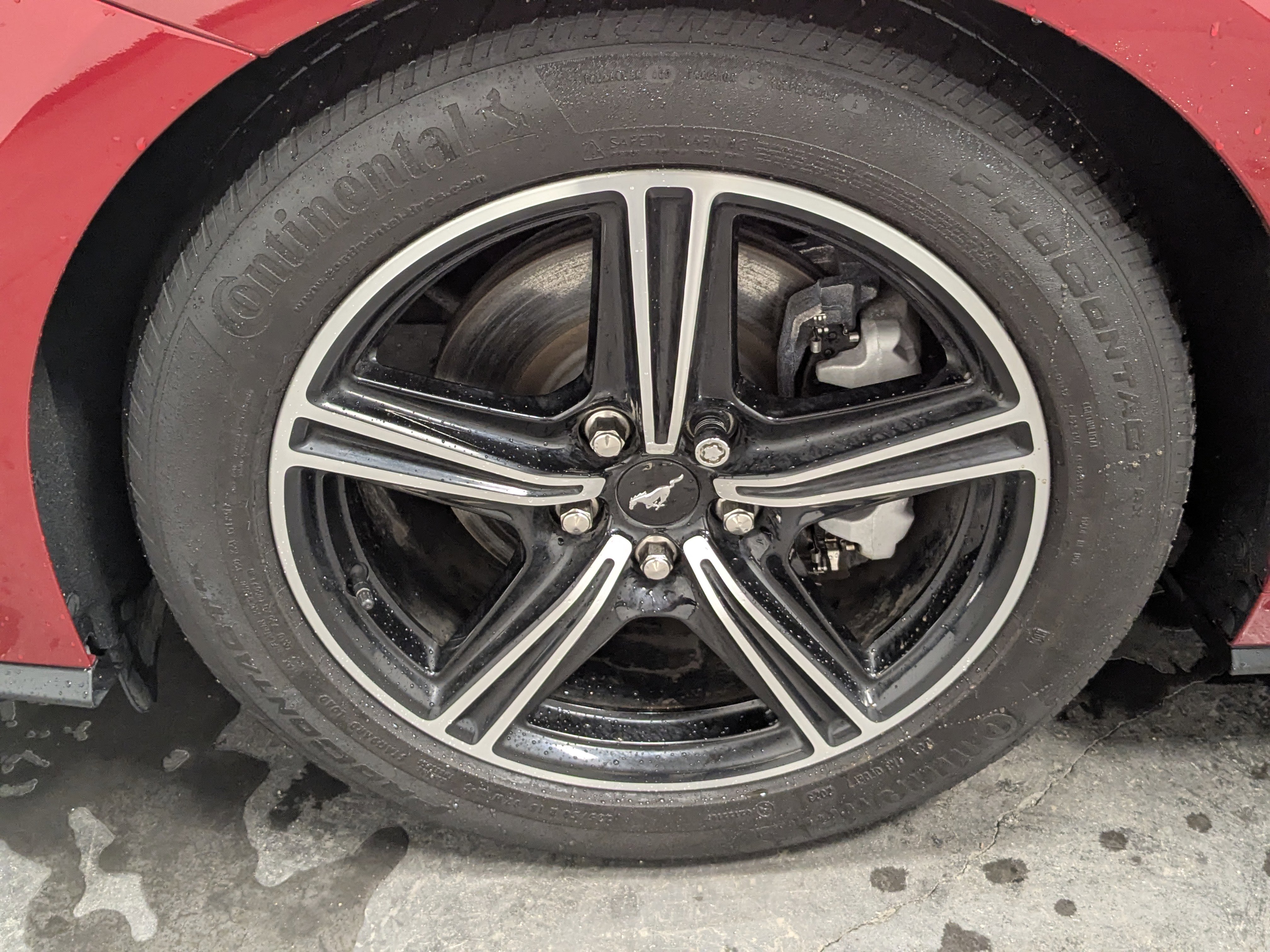 Used 2024 Ford Mustang Premium image 10