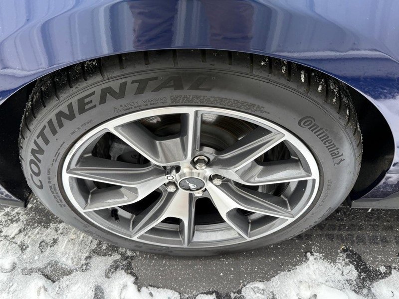 Used 2015 Ford Mustang 50 Years image 6