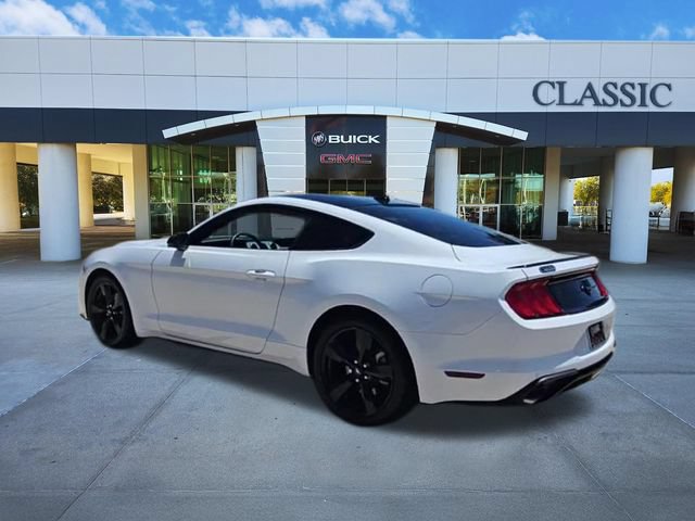 Used 2023 Ford Mustang Premium w/ Mustang Nite Pony Package RWD image 6
