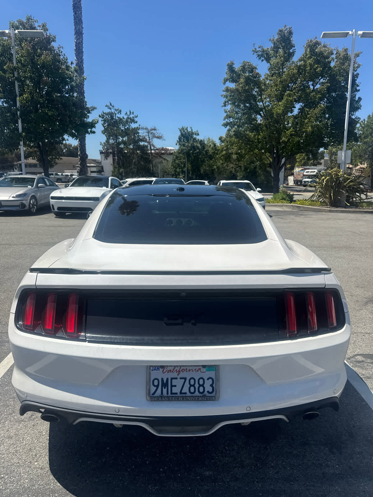 Used 2017 Ford Mustang GT Premium w/ Black Accent Package RWD image 6