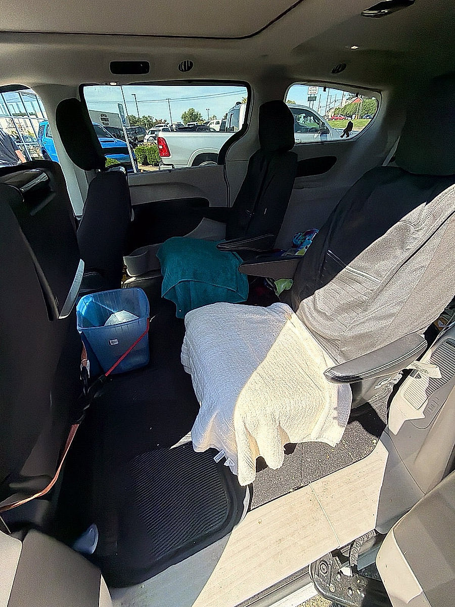 Used 2024 Chrysler Pacifica Touring-L w/ Uconnect Theater Family Group AWD/4WD image 7