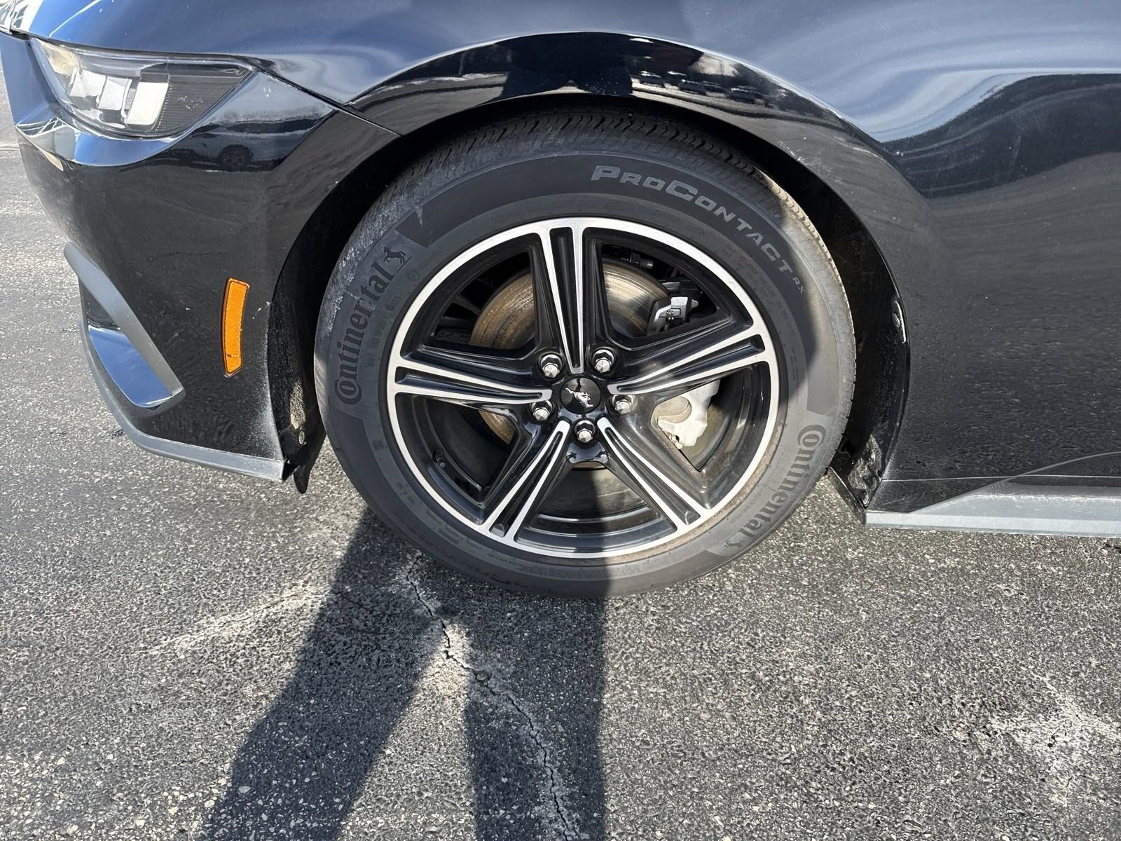 Certified 2024 Ford Mustang Premium image 3