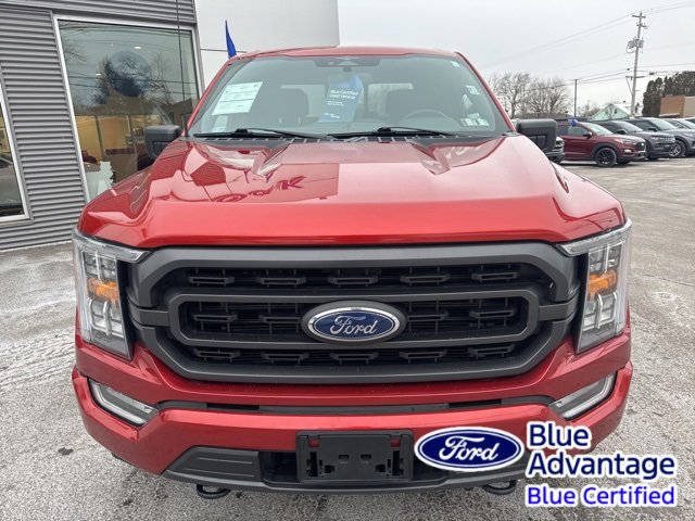 Certified 2023 Ford F150 XLT w/ Equipment Group 302A High image 3