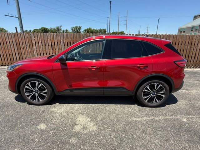 Used 2022 Ford Escape SE w/ SE Sport Appearance Package image 7
