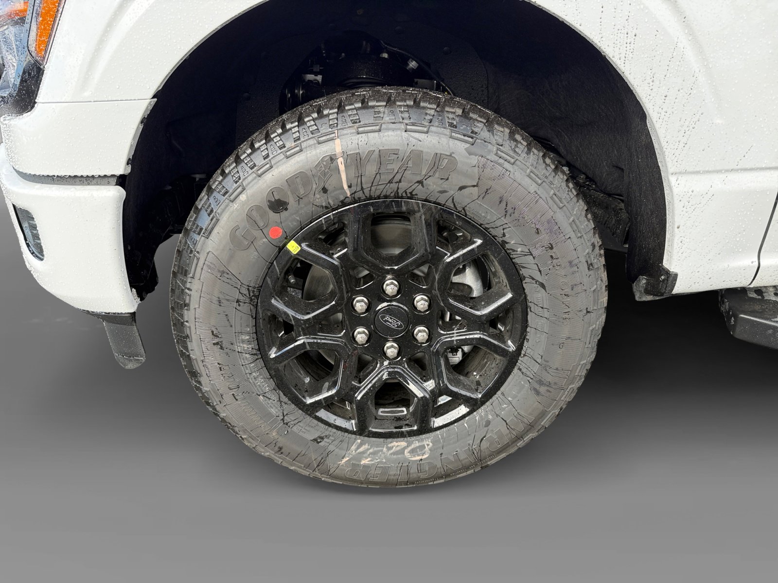 New 2026 Ford F150 XLT w/ Equipment Group 302A MID image 9