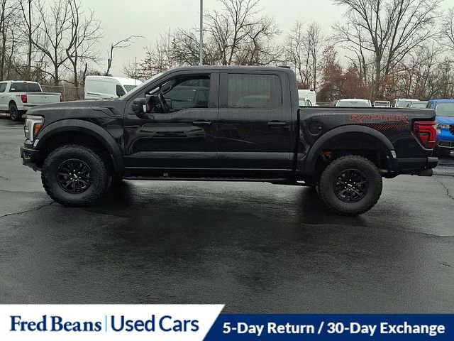 Certified 2025 Ford F150 Raptor image 6