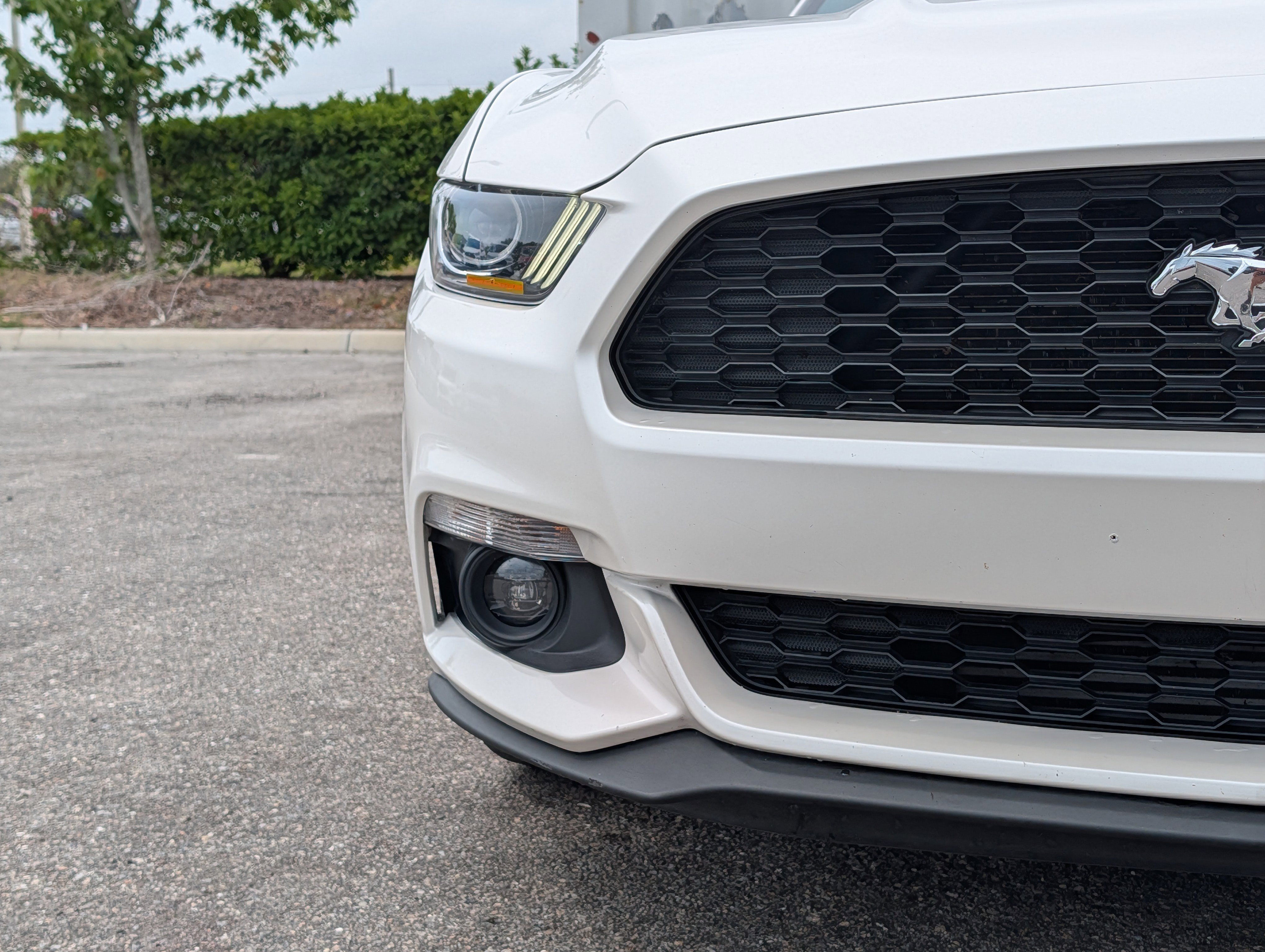 Used 2017 Ford Mustang Premium w/ Equipment Group 201A RWD image 9
