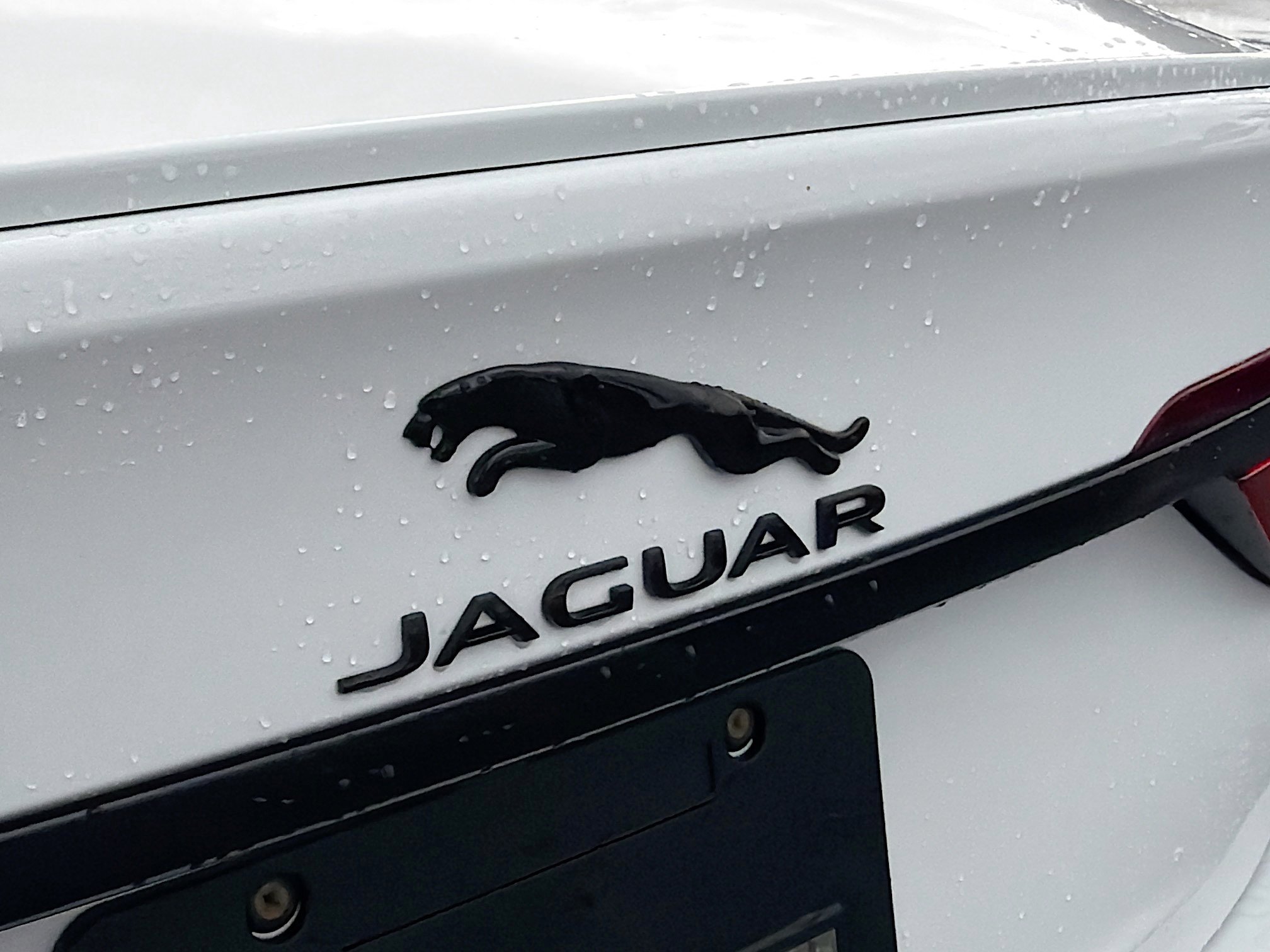 Used 2024 Jaguar XF R-Dynamic SE image 11