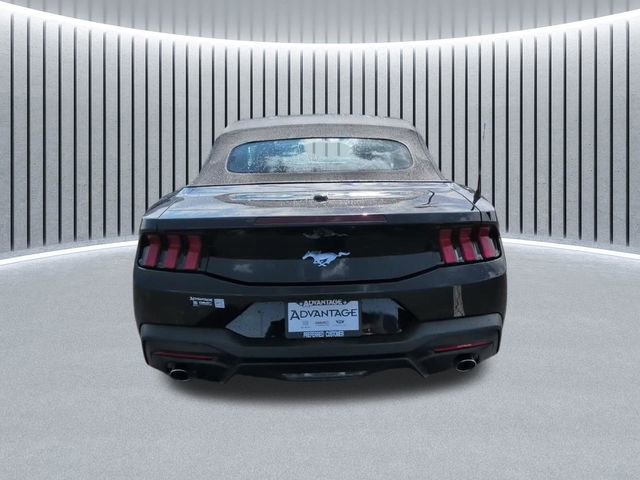 Used 2026 Ford Mustang Premium image 4