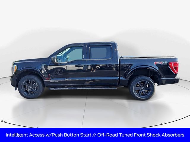 Used 2021 Ford F150 XLT w/ Equipment Group 302A High image 8