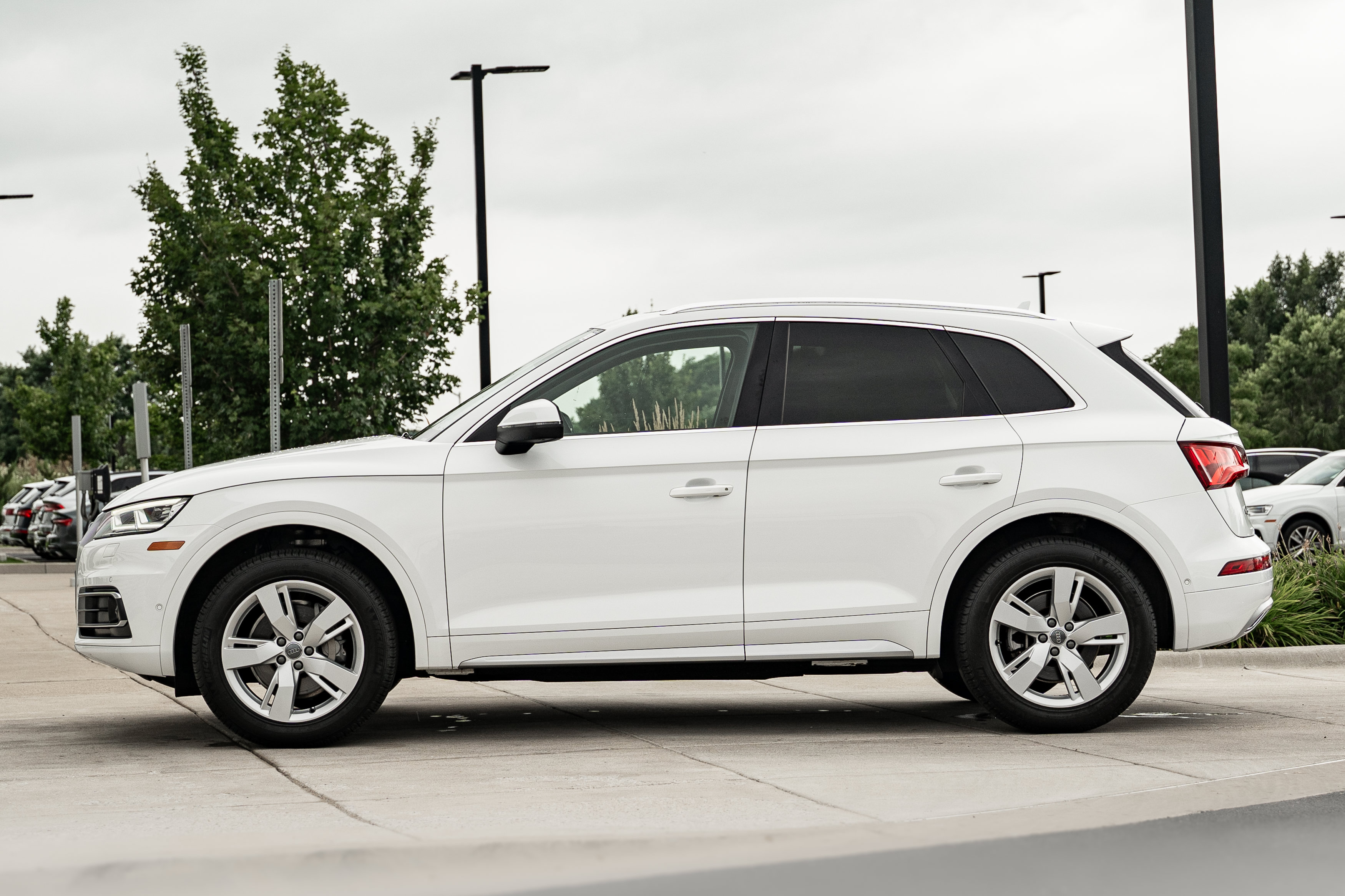 Used 2019 Audi Q5 Prestige w/ Prestige Package AWD/4WD image 6
