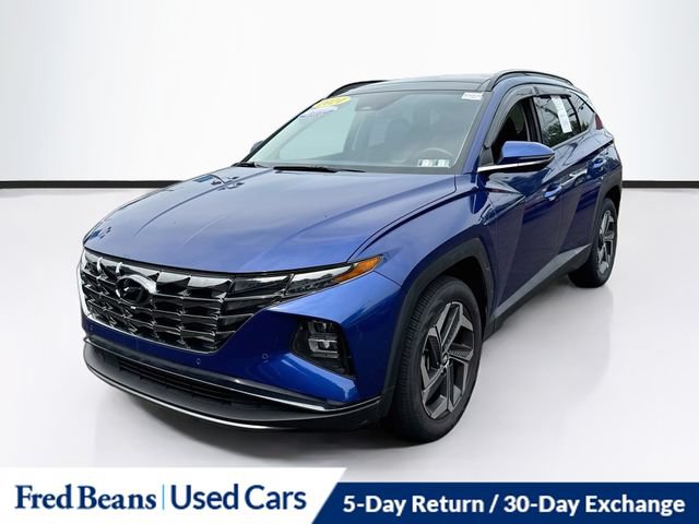 Used 2024 Hyundai Tucson Limited AWD/4WD image 3