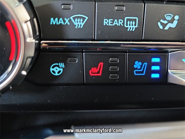 New 2025 Ford F250 Platinum image 16