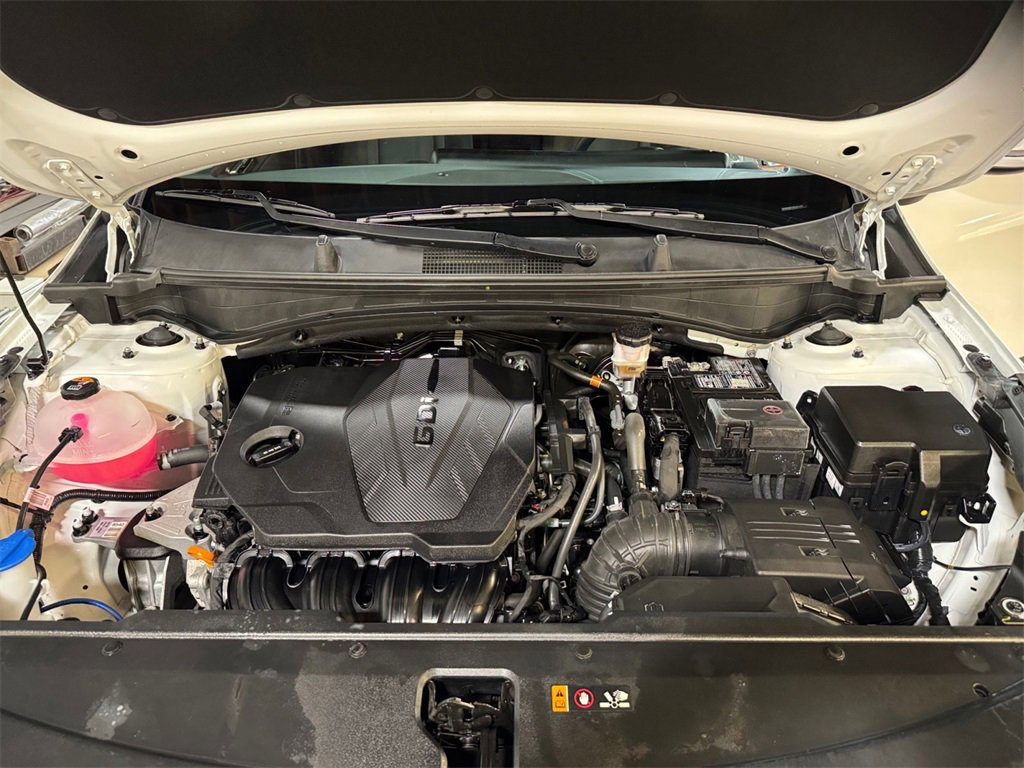 Certified 2024 Kia Sportage EX image 27