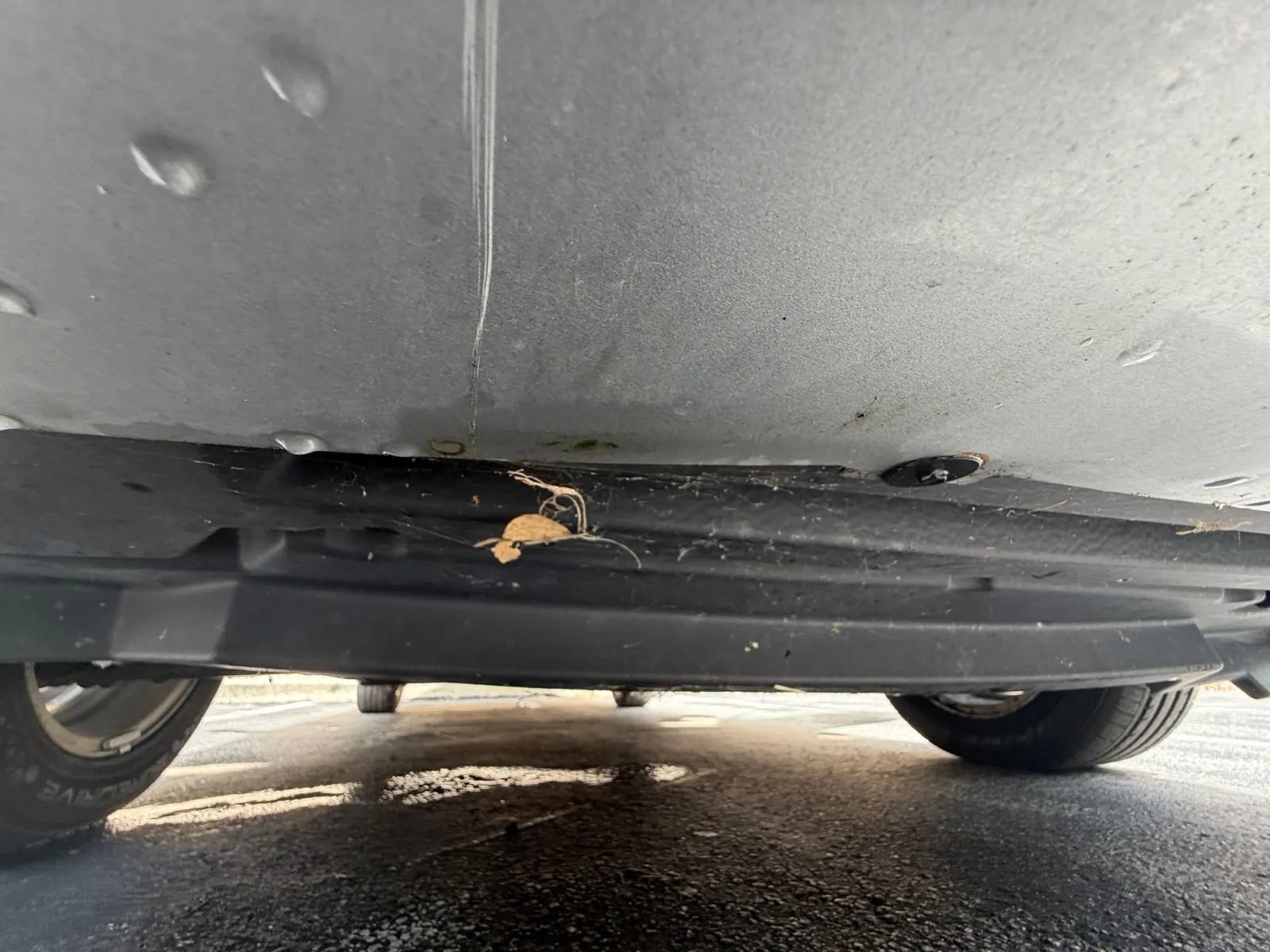 Used 2011 Ford Focus SE FWD image 25