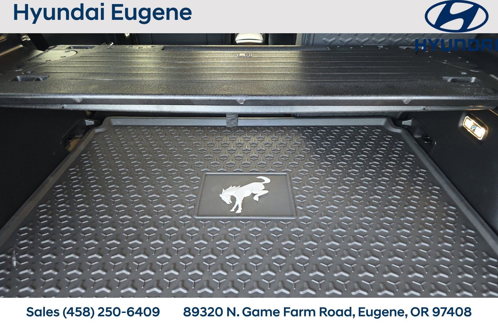 Used 2025 Ford Bronco Sport Big Bend image 22