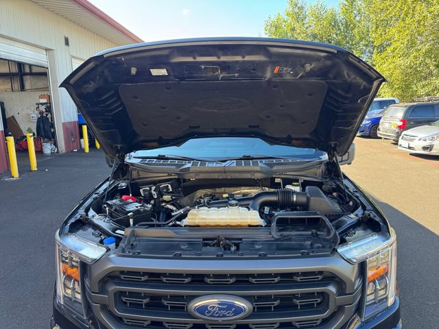 Used 2022 Ford F150 XLT w/ Equipment Group 302A High AWD/4WD image 19