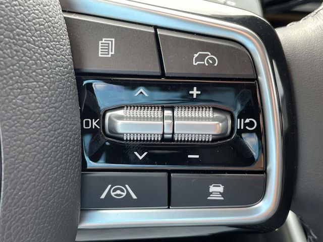 New 2026 Kia Carnival SX Prestige image 30