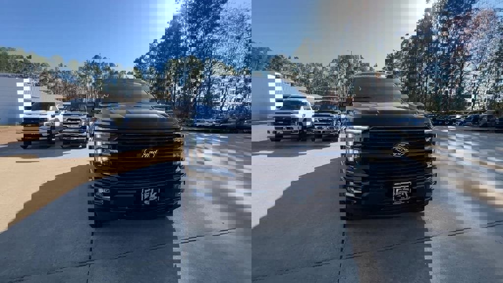 New 2025 Ford F150 Platinum w/ Equipment Group 702A High image 9