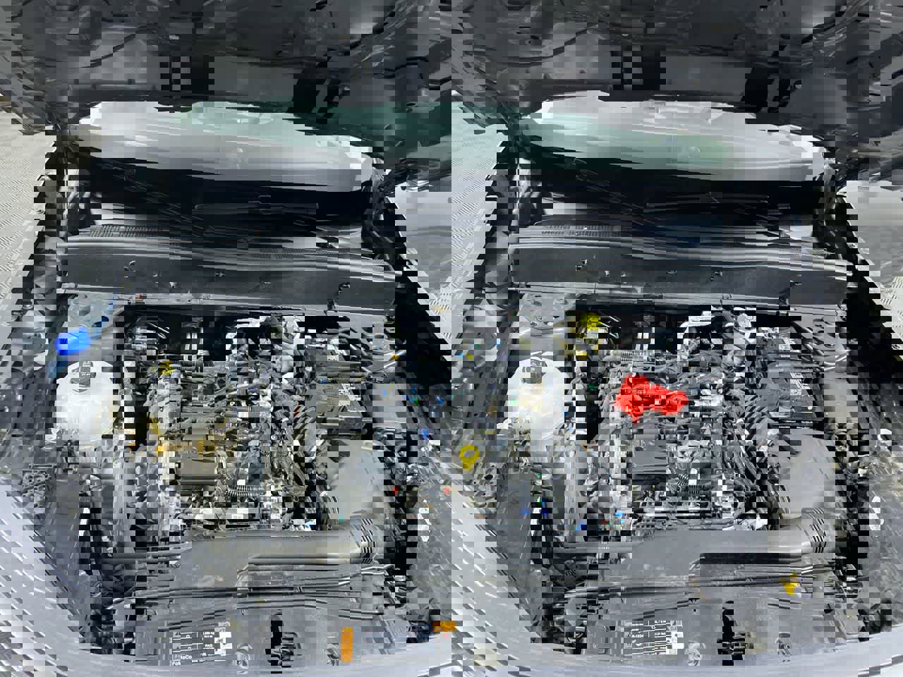 Used 2024 Ford Bronco Sport Big Bend image 12