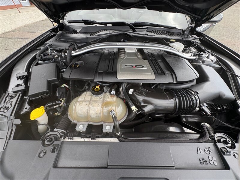 Used 2019 Ford Mustang GT Premium w/ Equipment Group 401A RWD image 20