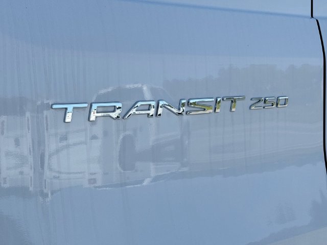 New 2024 Ford Transit 250 Low Roof w/ Load Area Protection Package RWD image 15