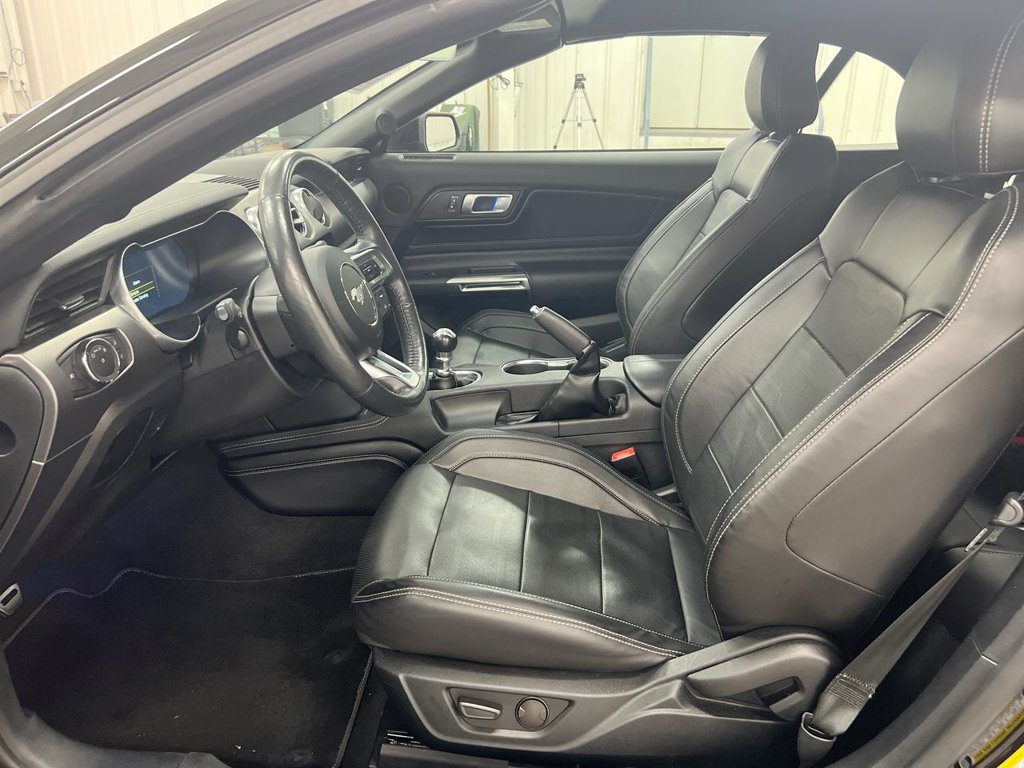 Used 2022 Ford Mustang GT Premium w/ Equipment Group 401A RWD image 20