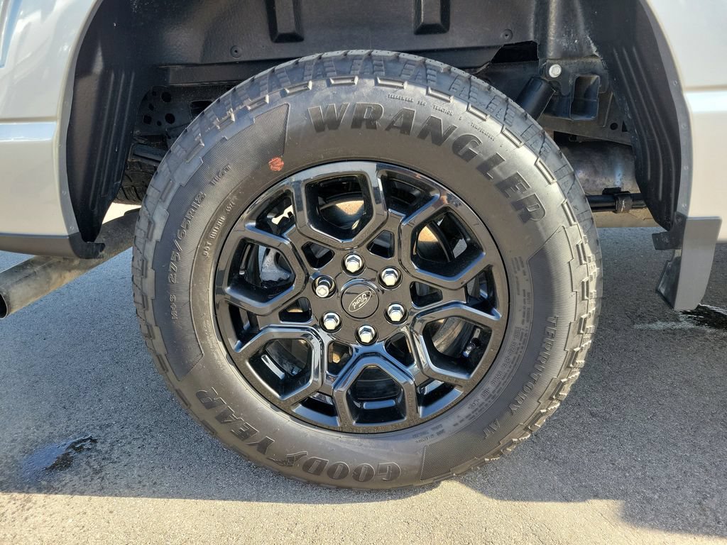 Used 2025 Ford F150 XLT w/ Equipment Group 302A MID AWD/4WD image 5