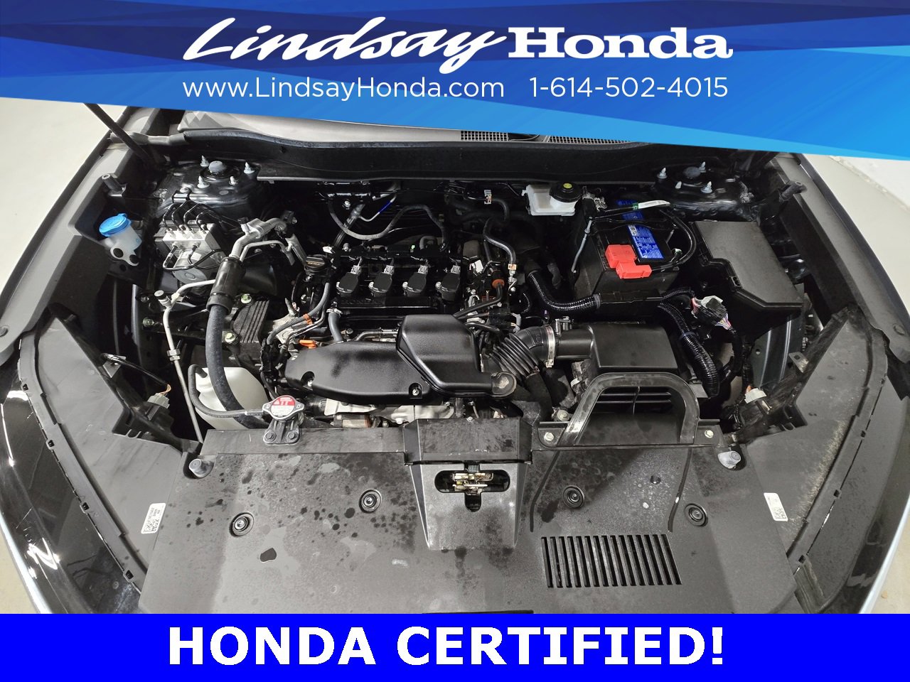 Certified 2024 Honda CR-V EX-L image 24