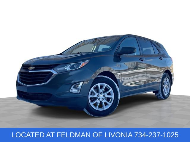 Used 2019 Chevrolet Equinox LS w/ LS Convenience Package image 1