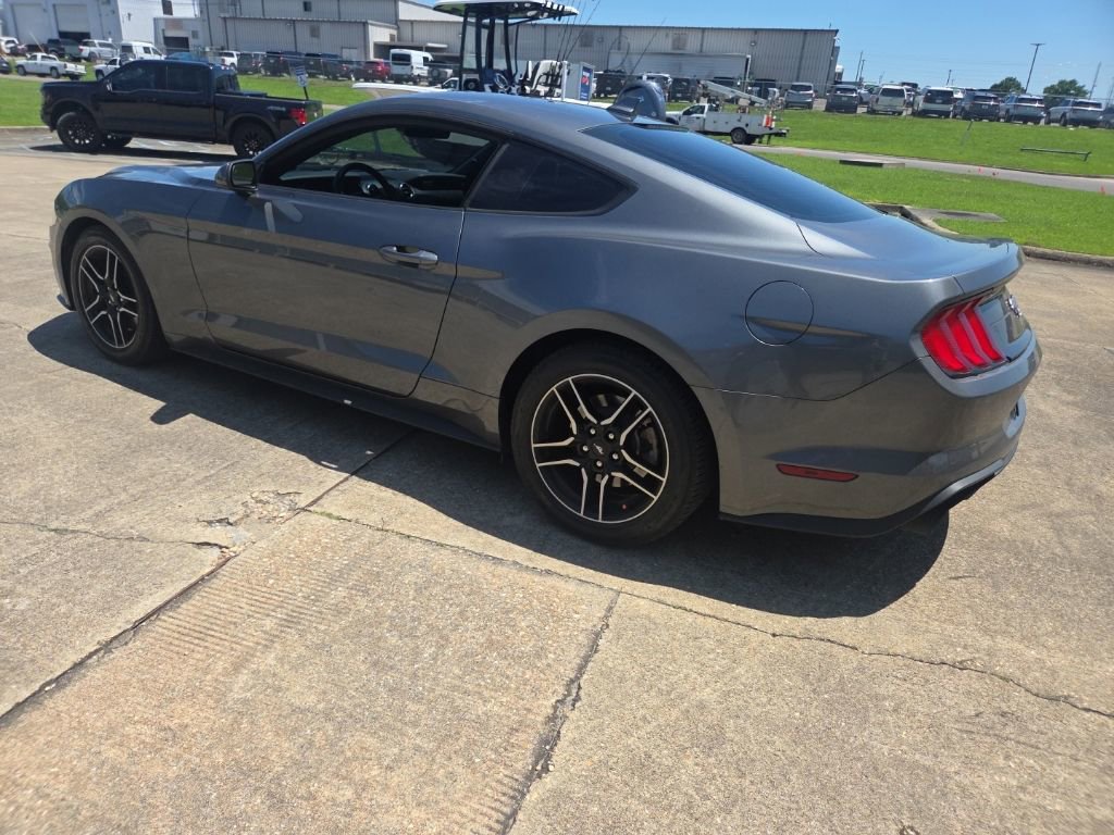 Used 2023 Ford Mustang Coupe w/ Equipment Group 101A RWD image 6