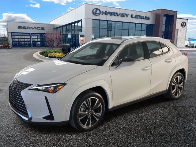 New 2025 Lexus UX 300h AWD w/ Cold Area Package