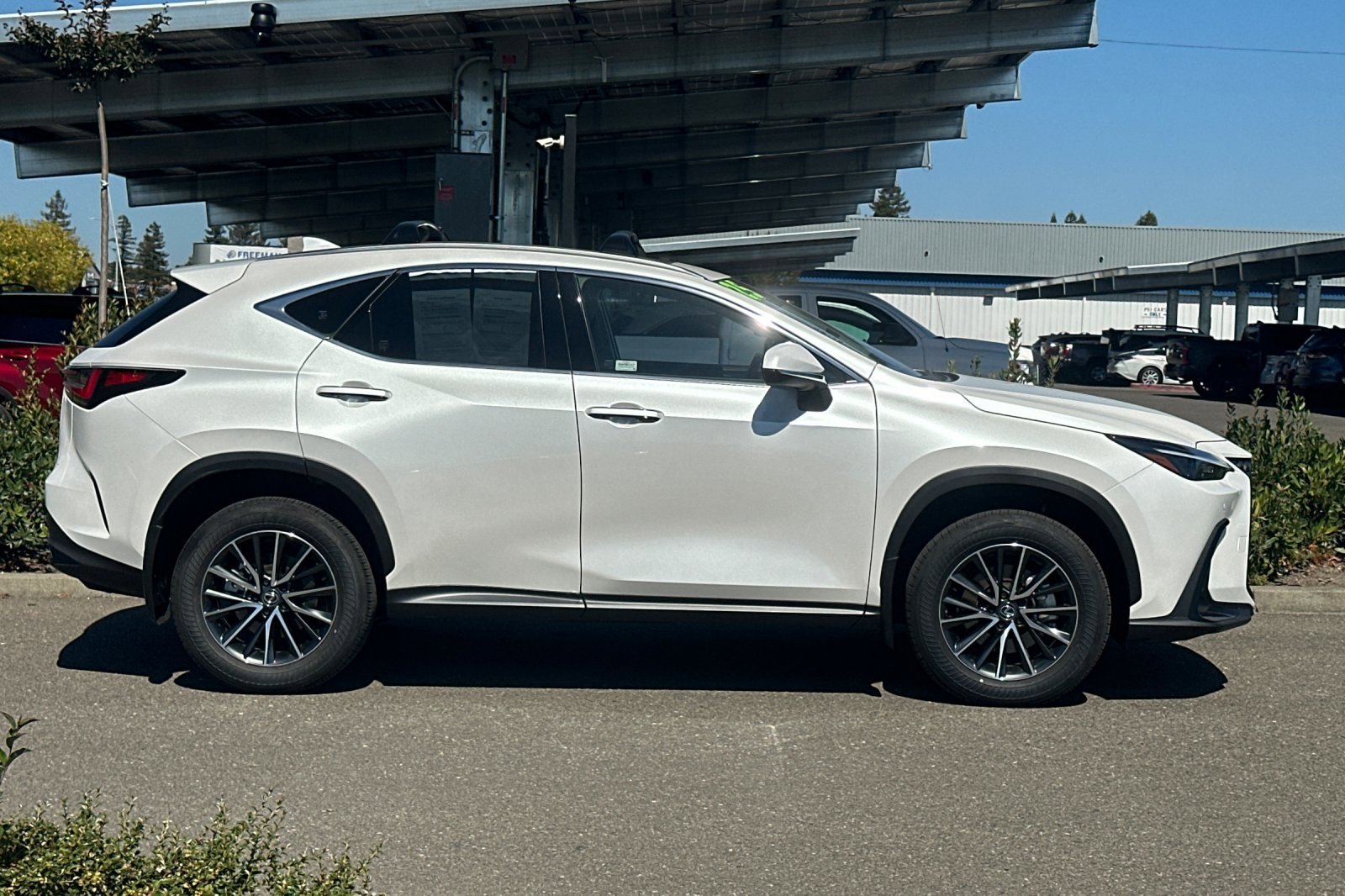 Used 2025 Lexus NX 350h AWD w/ Premium Package image 3